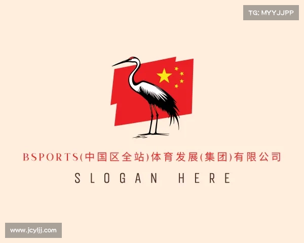 最新Bsports(中国区全站)体育发展(集团)有限公司